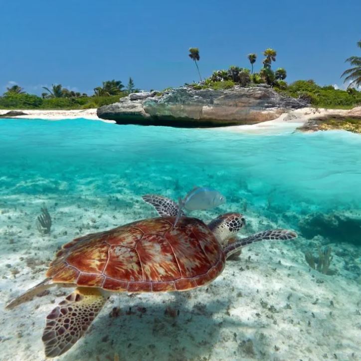 Aruba Karibik